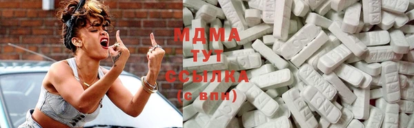 прущие грибы Арсеньев