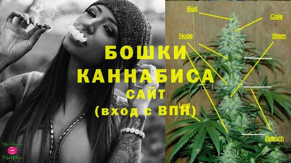 прущие грибы Арсеньев