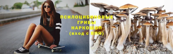 spice Аркадак