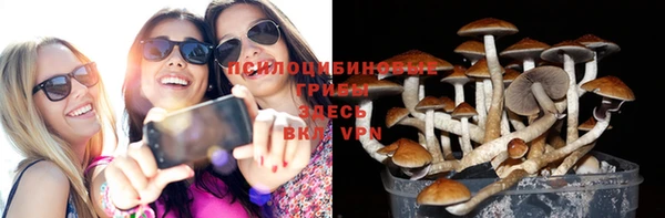 МДПВ Армянск