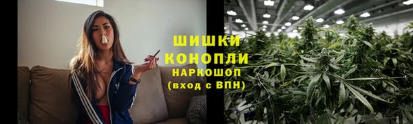 spice Аркадак