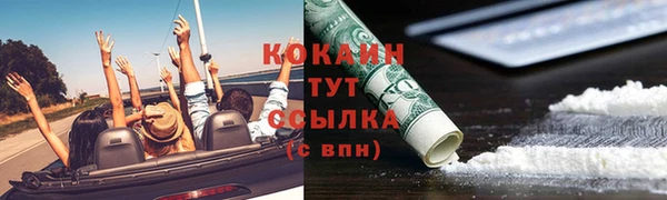 прущие грибы Арсеньев