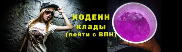 прущие грибы Арсеньев