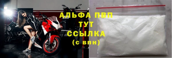 spice Аркадак