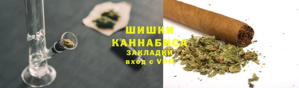 прущие грибы Арсеньев