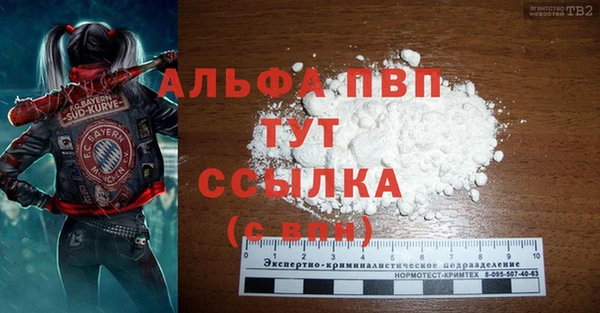 прущие грибы Арсеньев