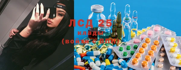 spice Аркадак