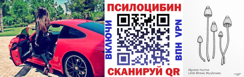 Псилоцибиновые грибы Magic Shrooms  купить   Волхов 