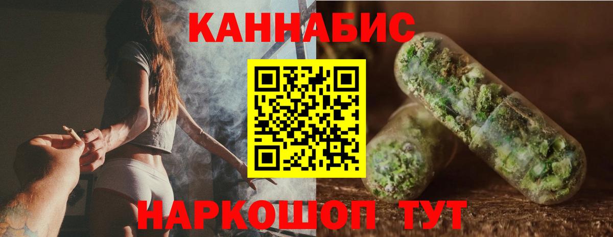 Канабис сатива Волхов